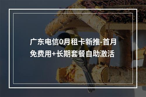 广东电信0月租卡新推-首月免费用+长期套餐自助激活