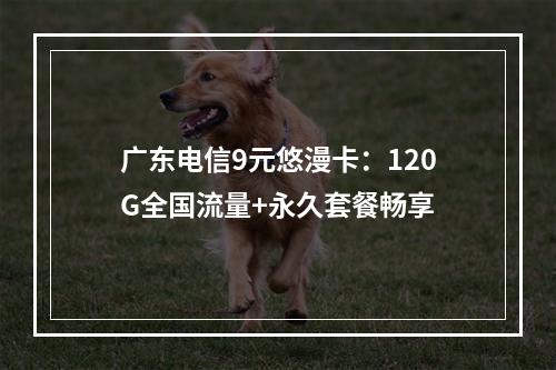 广东电信9元悠漫卡：120G全国流量+永久套餐畅享