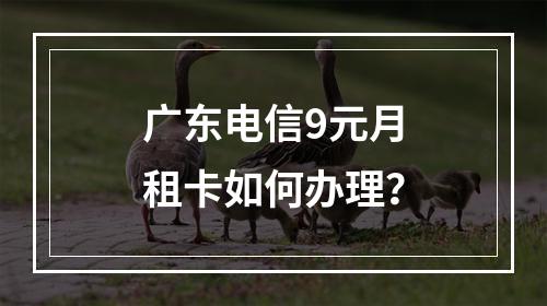 广东电信9元月租卡如何办理？