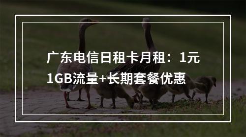 广东电信日租卡月租：1元1GB流量+长期套餐优惠