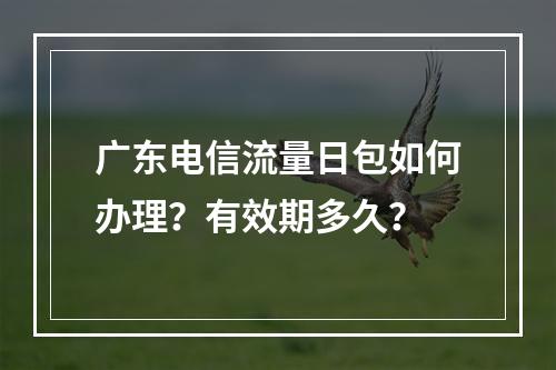 广东电信流量日包如何办理？有效期多久？
