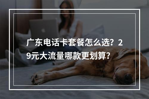 广东电话卡套餐怎么选？29元大流量哪款更划算？