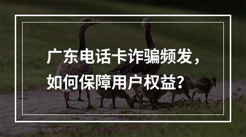 广东电话卡诈骗频发，如何保障用户权益？