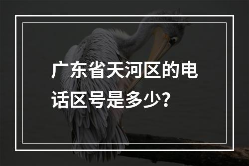广东省天河区的电话区号是多少？