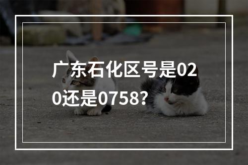 广东石化区号是020还是0758？