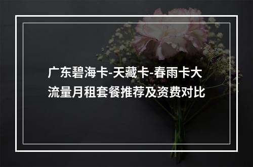 广东碧海卡-天藏卡-春雨卡大流量月租套餐推荐及资费对比