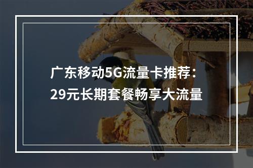 广东移动5G流量卡推荐：29元长期套餐畅享大流量