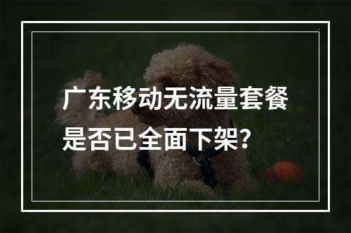 广东移动无流量套餐是否已全面下架？