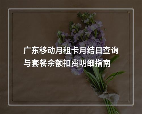 广东移动月租卡月结日查询与套餐余额扣费明细指南