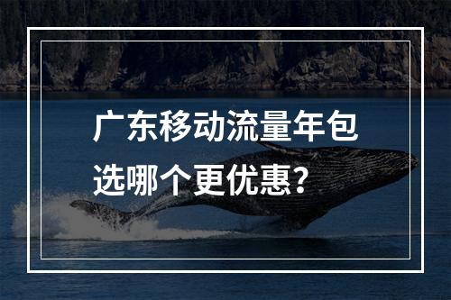 广东移动流量年包选哪个更优惠？