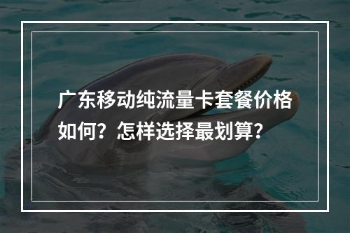 广东移动纯流量卡套餐价格如何？怎样选择最划算？