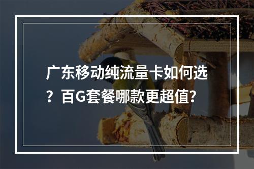 广东移动纯流量卡如何选？百G套餐哪款更超值？