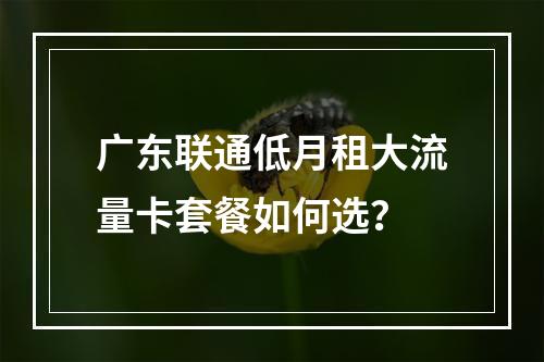 广东联通低月租大流量卡套餐如何选？