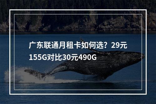 广东联通月租卡如何选？29元155G对比30元490G