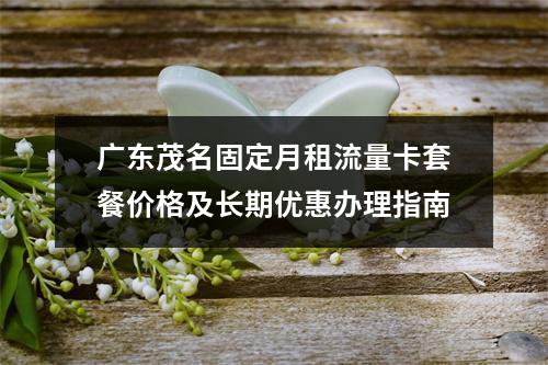 广东茂名固定月租流量卡套餐价格及长期优惠办理指南
