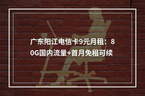 广东阳江电信卡9元月租：80G国内流量+首月免租可续