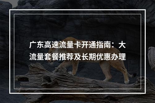 广东高速流量卡开通指南：大流量套餐推荐及长期优惠办理