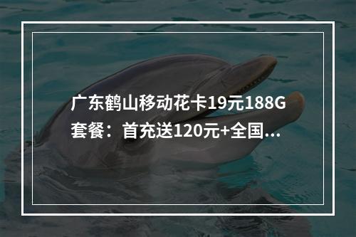 广东鹤山移动花卡19元188G套餐：首充送120元+全国包邮