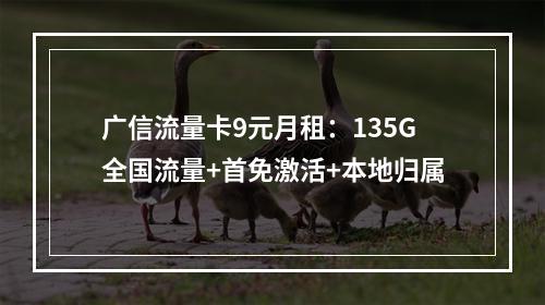 广信流量卡9元月租：135G全国流量+首免激活+本地归属