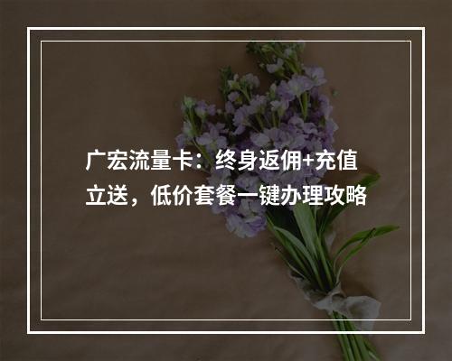 广宏流量卡：终身返佣+充值立送，低价套餐一键办理攻略