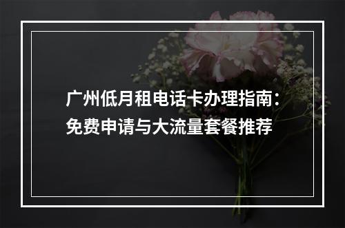 广州低月租电话卡办理指南：免费申请与大流量套餐推荐