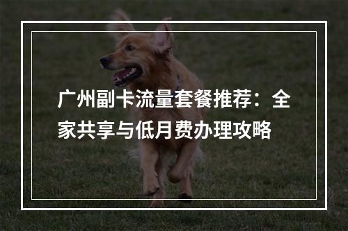广州副卡流量套餐推荐：全家共享与低月费办理攻略
