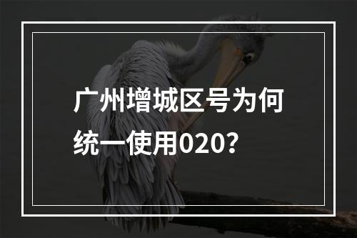 广州增城区号为何统一使用020？