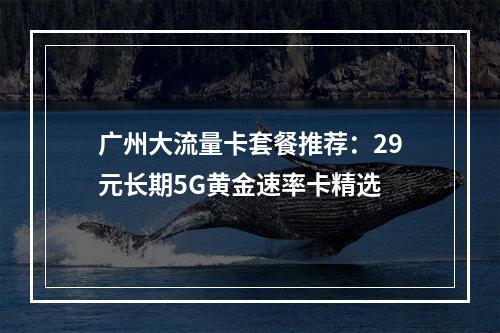 广州大流量卡套餐推荐：29元长期5G黄金速率卡精选