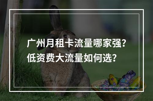 广州月租卡流量哪家强？低资费大流量如何选？