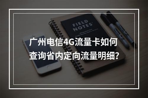 广州电信4G流量卡如何查询省内定向流量明细？