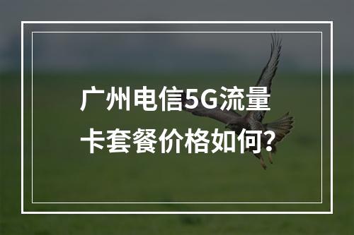 广州电信5G流量卡套餐价格如何？