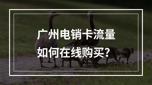 广州电销卡流量如何在线购买？