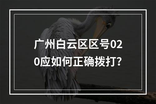 广州白云区区号020应如何正确拨打？