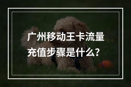 广州移动王卡流量充值步骤是什么？