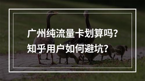 广州纯流量卡划算吗？知乎用户如何避坑？