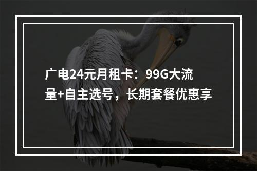 广电24元月租卡：99G大流量+自主选号，长期套餐优惠享