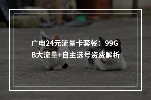 广电24元流量卡套餐：99GB大流量+自主选号资费解析