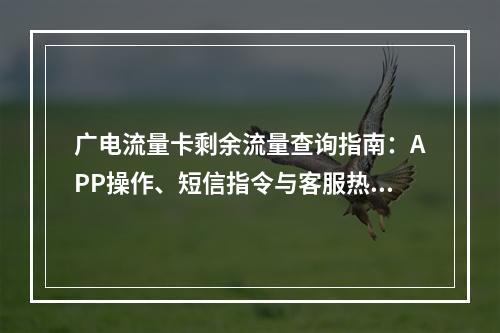 广电流量卡剩余流量查询指南：APP操作、短信指令与客服热线