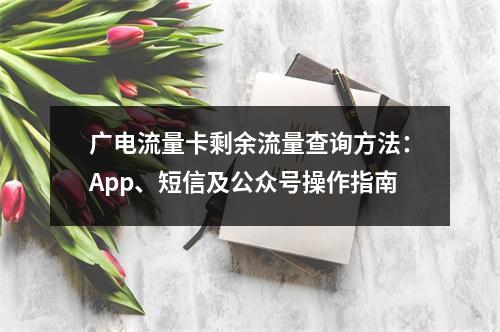 广电流量卡剩余流量查询方法：App、短信及公众号操作指南
