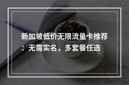 新加坡低价无限流量卡推荐：无需实名，多套餐任选