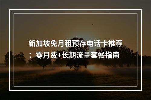 新加坡免月租预存电话卡推荐：零月费+长期流量套餐指南