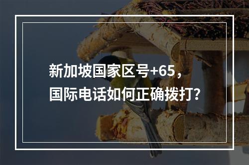 新加坡国家区号+65，国际电话如何正确拨打？