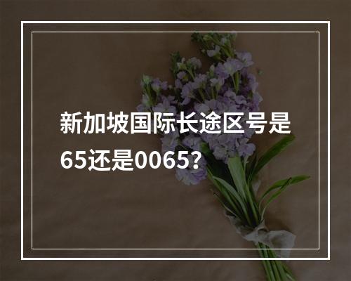 新加坡国际长途区号是65还是0065？