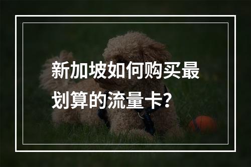 新加坡如何购买最划算的流量卡？