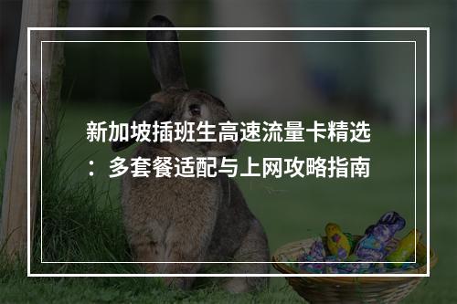 新加坡插班生高速流量卡精选：多套餐适配与上网攻略指南