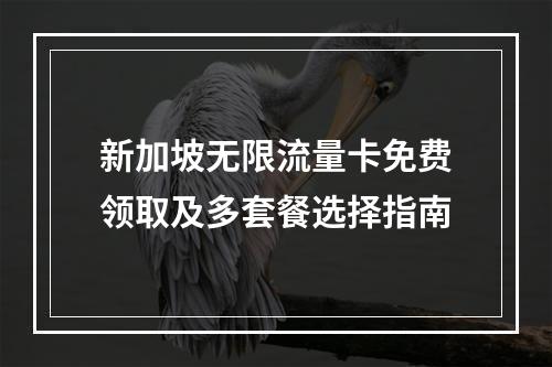 新加坡无限流量卡免费领取及多套餐选择指南