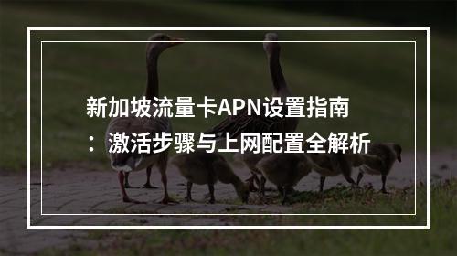 新加坡流量卡APN设置指南：激活步骤与上网配置全解析