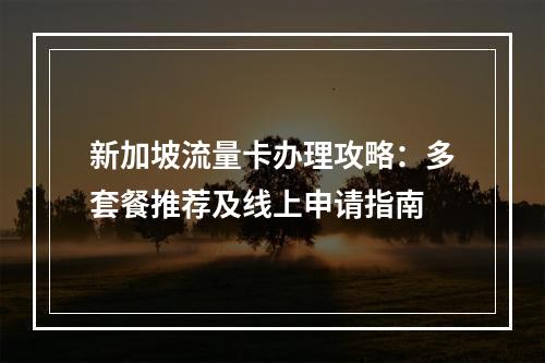 新加坡流量卡办理攻略：多套餐推荐及线上申请指南