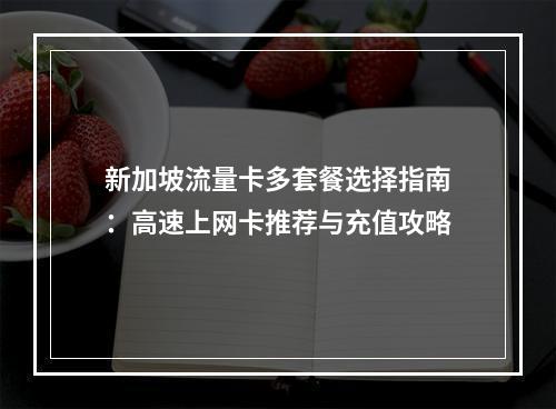 新加坡流量卡多套餐选择指南：高速上网卡推荐与充值攻略