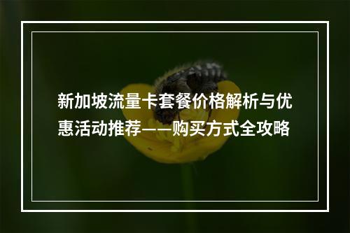 新加坡流量卡套餐价格解析与优惠活动推荐——购买方式全攻略